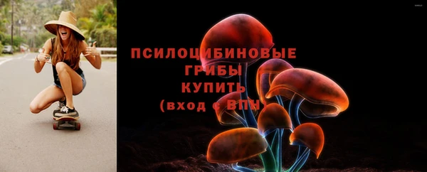 дживик Инта