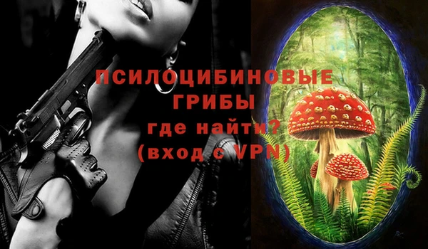 спиды Балахна