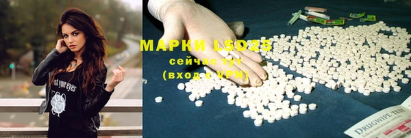 PSILOCYBIN Баксан