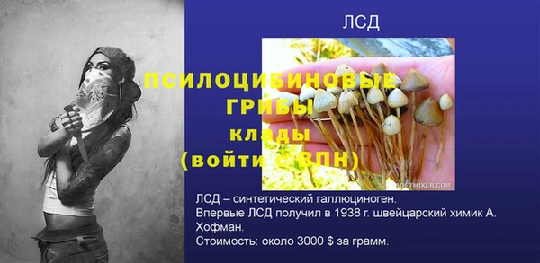 спиды Балахна