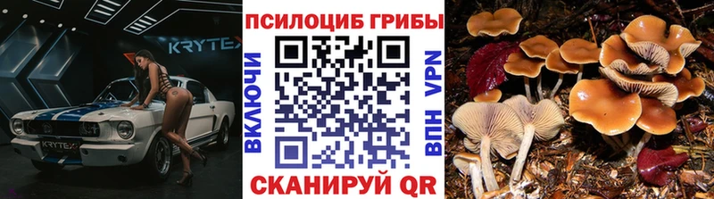 Псилоцибиновые грибы мухоморы  Николаевск 